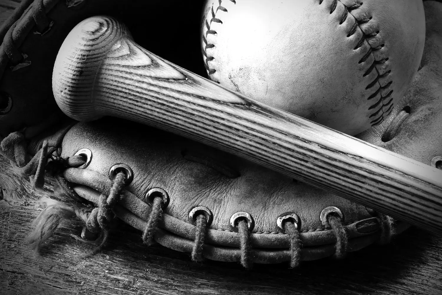 Black and white photo of a baseball bat, glove, and ball.
